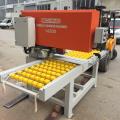 SCHIND 16200 - Marble, Natural Stone and Granite Side Cutting Machine