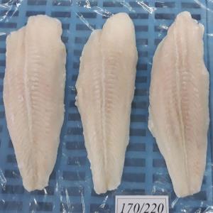 Panga Balığı - Dil Fileto - Pangasius Hypophthalmus