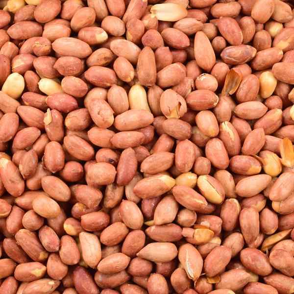 Shifa Roasted Peanut