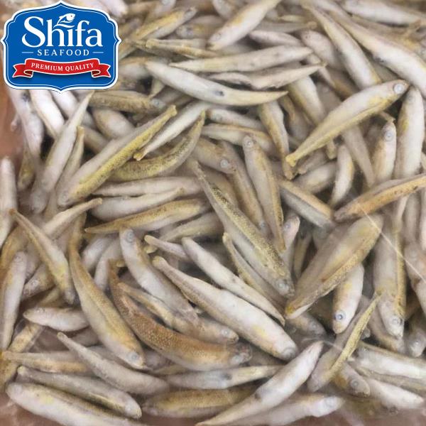 SAMAK FIDDA ATHERINA BOYERI