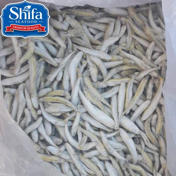 SAMAK FIDDA ATHERINA BOYERI